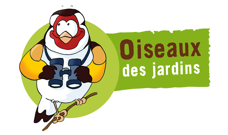 Comptage oiseaux des jardins à La-Roche-en-Brenil